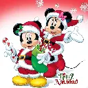 44.webp
