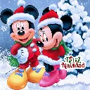 46.webp