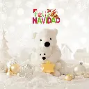 06.webp