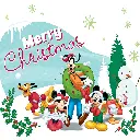 15.webp