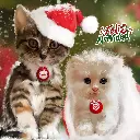 22.webp