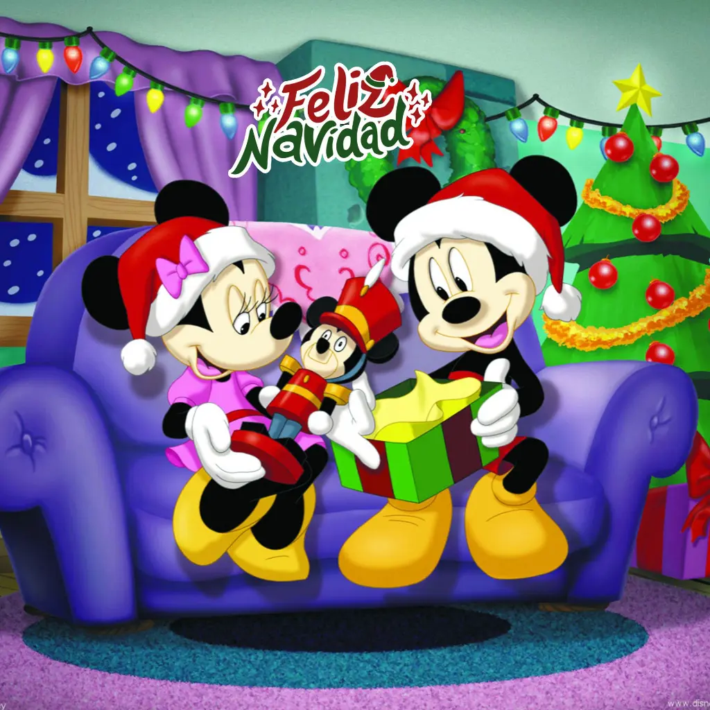 12.webp
